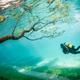 Illustration for article titled Otherworldly Winners From National Geographic's Traveler Photo Contest
